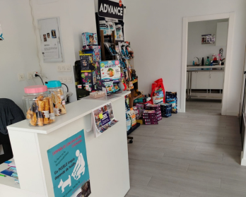 Clínica Veterinaria HuellaCat Clínica Veterinaria HuellaCat