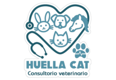 Clinica veterinaria HuellaCat en Granada
