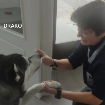 Clinica veterinaria huellacat granada